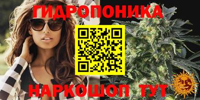 МДПВ Анапа