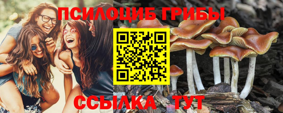 Волгоград  Псилоцибиновые грибы мухоморы  как найти закладки  Вход с VPN 